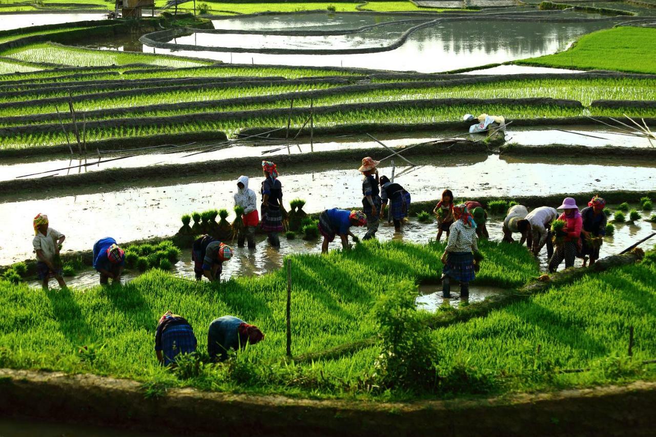 Nam San Mu Cang Chai Eco Lodge מראה חיצוני תמונה