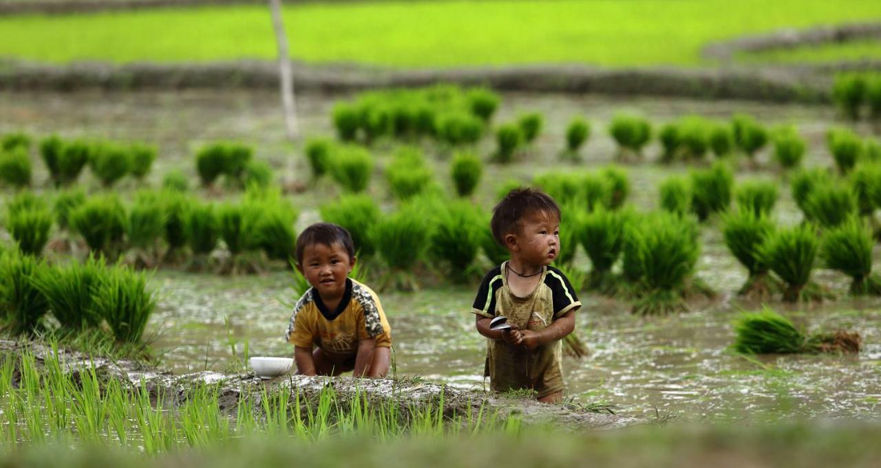 Nam San Mu Cang Chai Eco Lodge מראה חיצוני תמונה