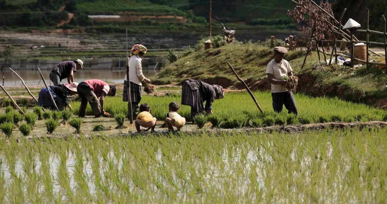 Nam San Mu Cang Chai Eco Lodge מראה חיצוני תמונה